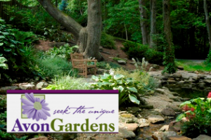 Avon Gardens - DJ Rock My World.com