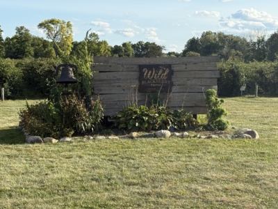 Wild Blackberry Farms