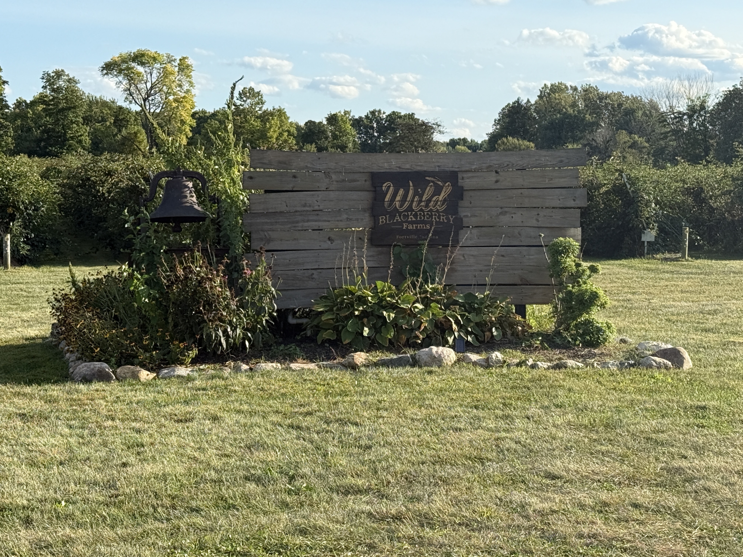 Wild Blackberry Farms Sign